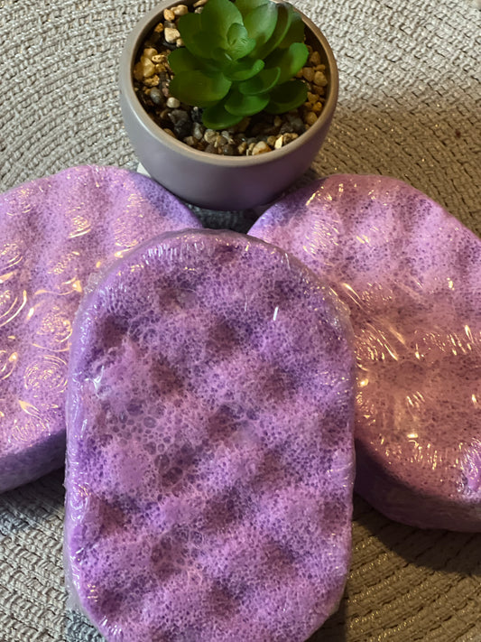 Soap sponges